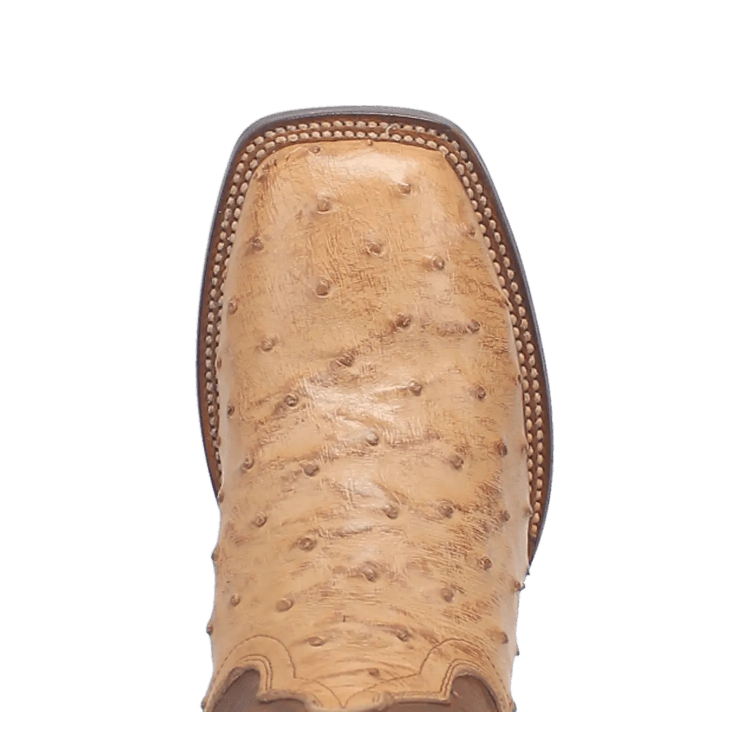 ALAMOSA FULL QUILL OSTRICH BOOT