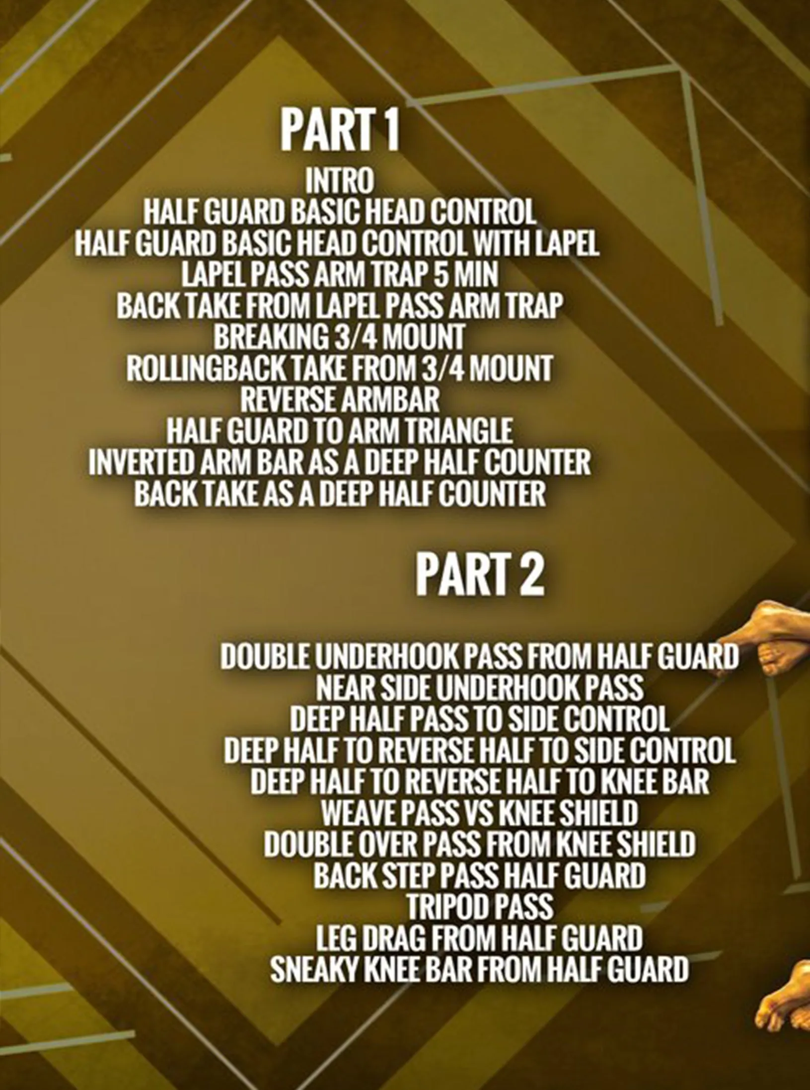 Half Guard Destruction by Gabriel Procopio