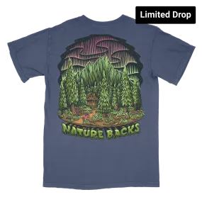 Northern Lights Glow (Midnight)