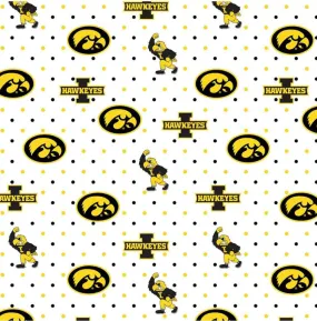 University of Iowa Hawkeyes Zipper Bag University of Iowa Hawkeyes Zipper Bag